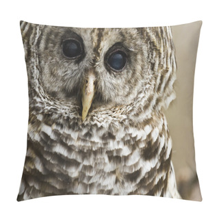 Personality  Barred Owl Pillow Covers