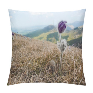 Personality  Spring Flower  Pillow Covers