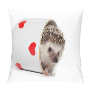 Personality  Funny Hedgehog Plays Hide And Seek Pillow Covers