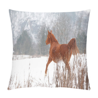 Personality  Nice Chestnut Horse Running In Winter Pillow Covers