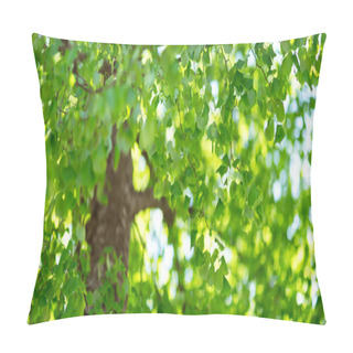 Personality  New Leaves In Summer Pillow Covers