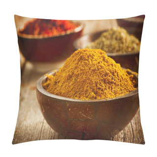 Personality  Spices Saffron, Turmeric, Curry Pillow Covers
