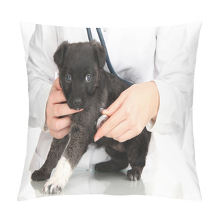 Personality  Vet Checking The Heart Rate Of Puppy Isolated On White Pillow Covers