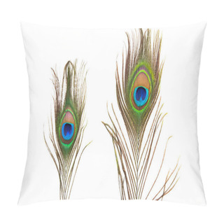 Personality  Colorful Peacock Feathers Isolated Pillow Covers