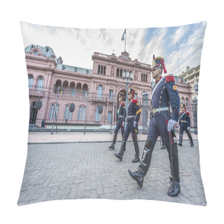 Personality  Horse Grenadiers In Buenos Aires, Argentina. Pillow Covers