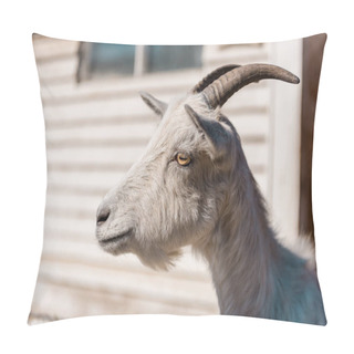Personality  Close Up Portrait Of Beautiful Goat Grazing At Farm  Pillow Covers