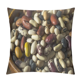 Personality  Heap Of Assorted Mixed Organic Dry Beans Pillow Covers