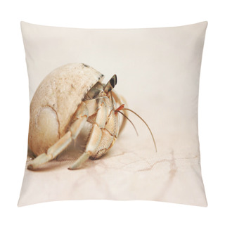Personality  Snail Crab On A Sand Pillow Covers