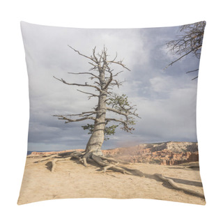 Personality  Spring Landscape In The USA Pillow Covers