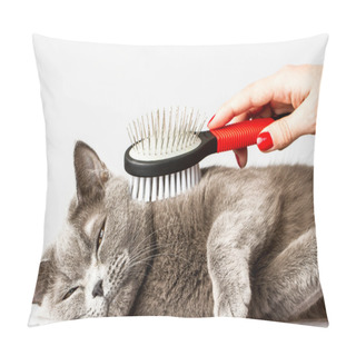 Personality  Woman Combing British Cat On White Background Pillow Covers