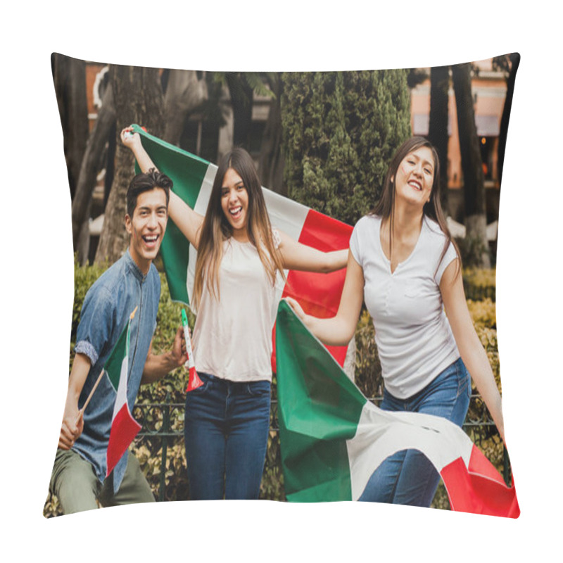 Personality  Mexican people cheering with flag of Mexico, Viva Mexico in Mexican independence day pillow covers
