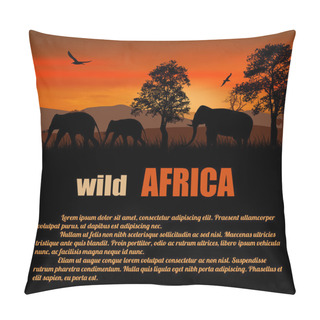 Personality  Wild Africa Poster Pillow Covers