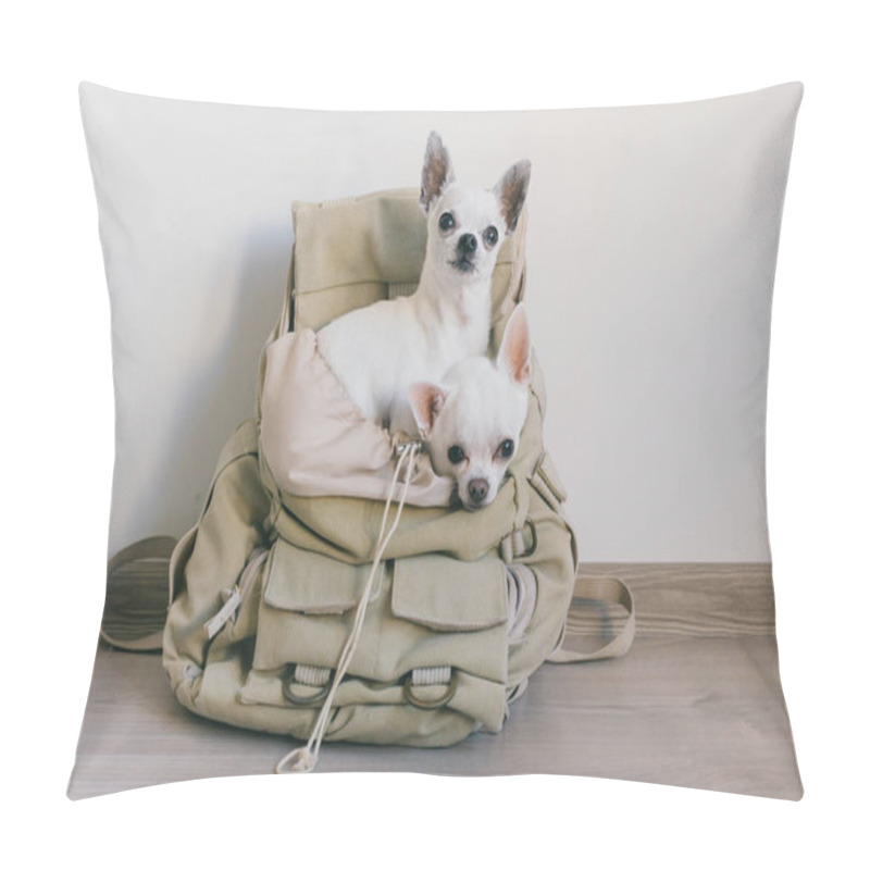 Personality  Two chihuahua puppies sitting in pocket of hipster canvas backpack with funny faces and looking different ways. Dogs travel. Comfortable relax. Pets on vacation. Animals family lying together at home. pillow covers