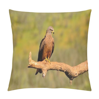 Personality  Black Kite On Leafless Branch Pillow Covers