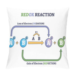 Personality  Redox Reaction As Atoms Chemical Oxidation States Change Outline Diagram Pillow Covers