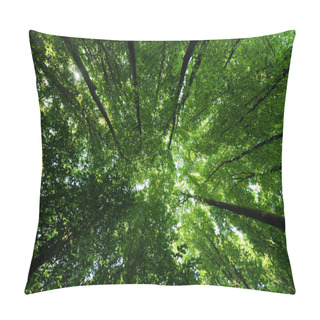 Personality  Bottom View Of Trees With Green And Fresh Leaves In Summertime  Pillow Covers
