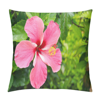 Personality  Blooming Of Pink Hibiscus Flower Pillow Covers