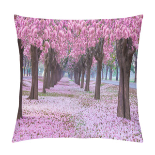 Personality  Scenery Of Park Footpath With Blossoming Cherry Trees In Pink Pillow Covers