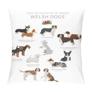 Personality  Dogs By Country Of Origin. Welsh Dog Breeds. Shepherds, Hunting, Pillow Covers