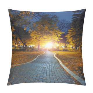 Personality  Autumn City Park At Night Pillow Covers
