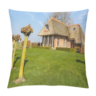 Personality  Cozy Cottage With A Thatched Roof Pillow Covers