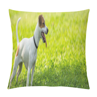 Personality  Panoramic Crop Of Jack Russell Terrier Dog Standing On Grass Pillow Covers