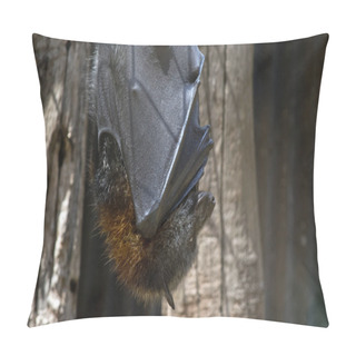 Personality  A Fruit Bat Hanging Pillow Covers