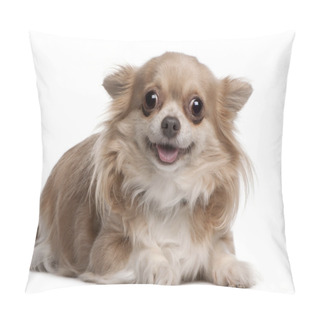 Personality  Chihuahua Puppy, 6 Months Old, Lying In Front Of White Background Pillow Covers
