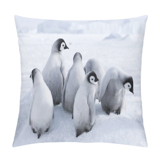 Personality  Emperor Penguin Chicks Pillow Covers