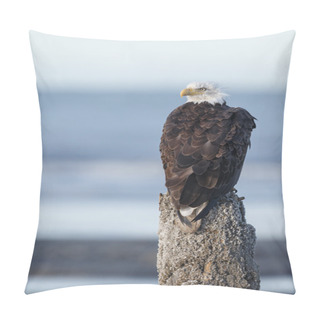 Personality  American Bald Eagle Pillow Covers