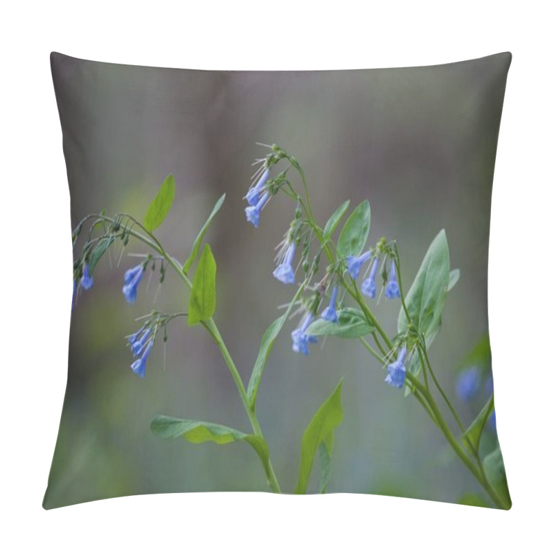 Personality  A closeup shot of the blue bellflower in the West Virginia University Arboretum pillow covers