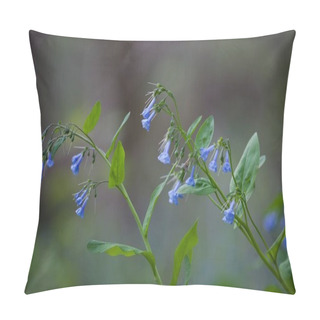 Personality  A Closeup Shot Of The Blue Bellflower In The West Virginia University Arboretum Pillow Covers