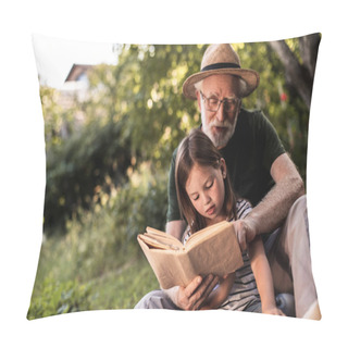 Personality  Grandfather Doing School Homework With His Granddaughter Sitting In Backyard Pillow Covers