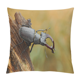 Personality  Stag Beetle On Old Tree Trunk Pillow Covers