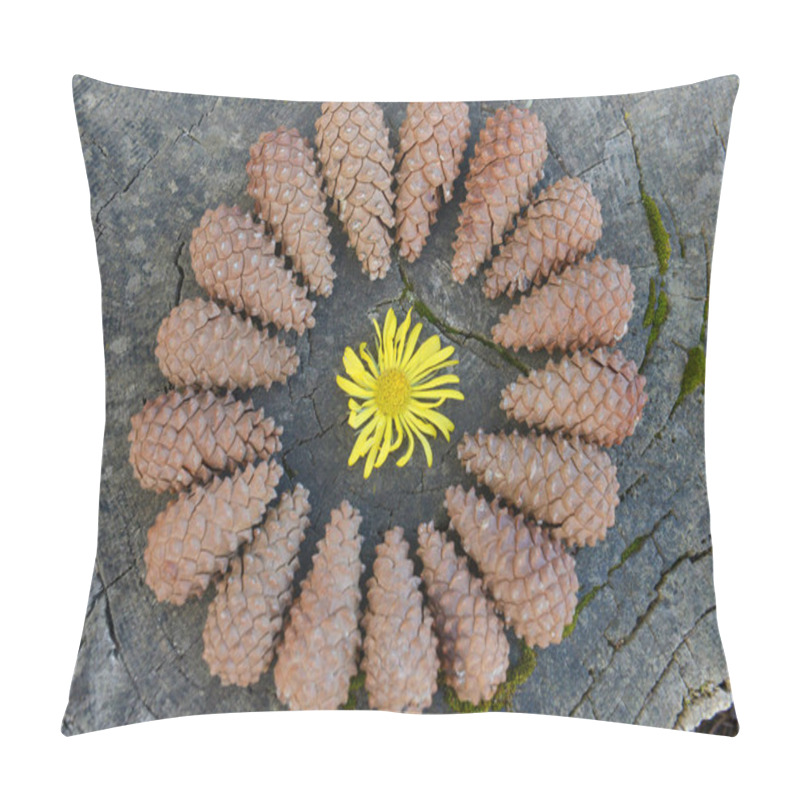 Personality  cones and spring flowers pillow covers