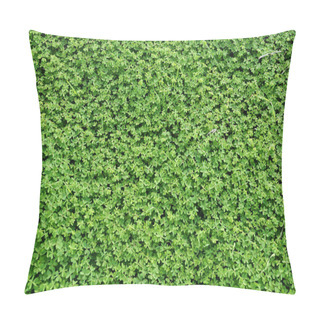 Personality  Thick Green Grass For Plant Background. Pillow Covers