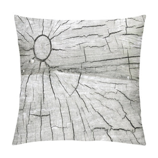 Personality  Background With Tree Rings Pillow Covers