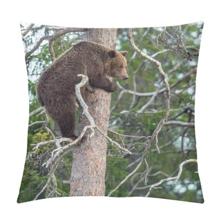 Personality  She-bear Got On A Pine Tree Pillow Covers