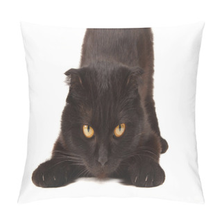 Personality  British Black Cat Pillow Covers