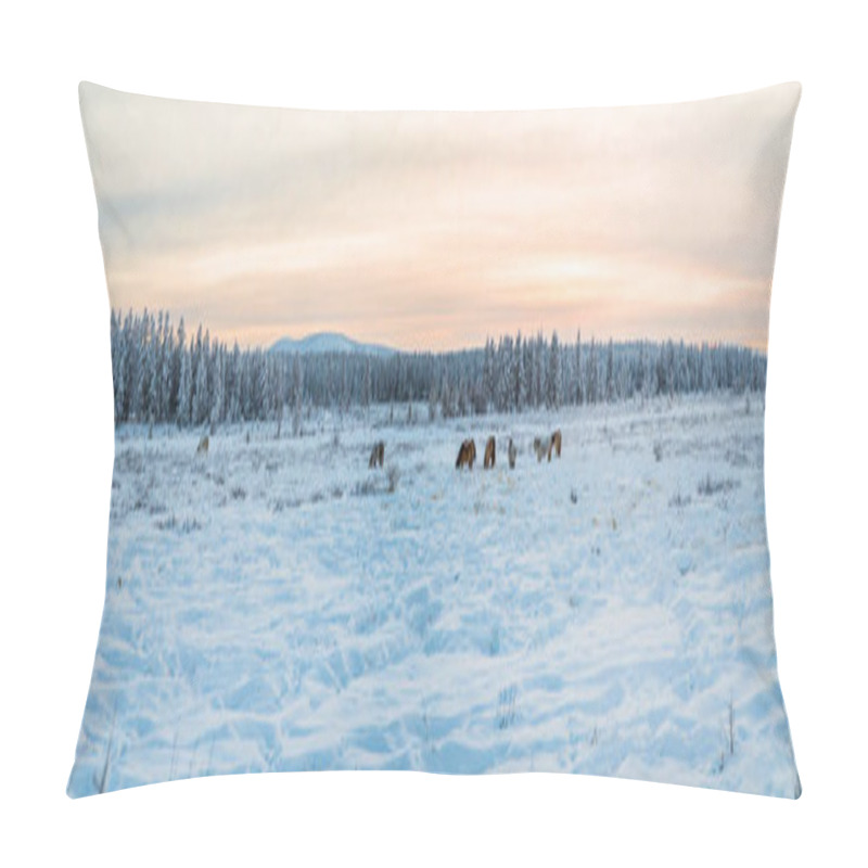 Personality  beautiful brown and white horses walking in snow at sunset, jakutia  pillow covers