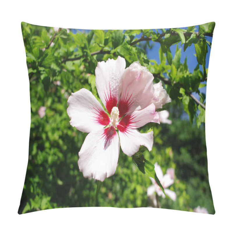 Personality  Pink And White Hibiscus Flower In Garden Pillow Covers