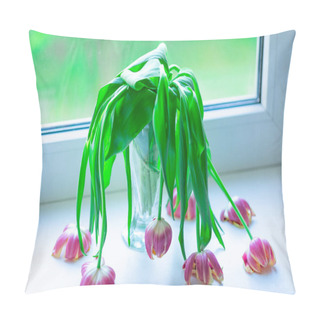 Personality  Wilted Died Tulips On The Windowsill On Hot Day Pillow Covers