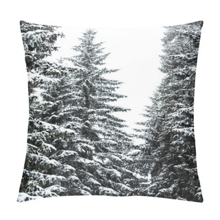 Personality  Pine Trees Covered With Snow On White Sky Background Pillow Covers