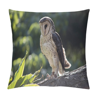 Personality  The Masked Owl Is Standing On  A Tree Branch Pillow Covers