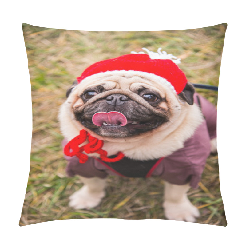 Personality  Dog Mops. Dog dressed as Santa Claus pillow covers