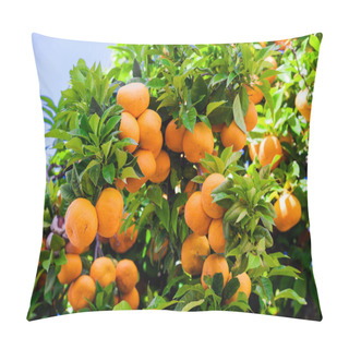 Personality  Orange Tree Branches Pillow Covers
