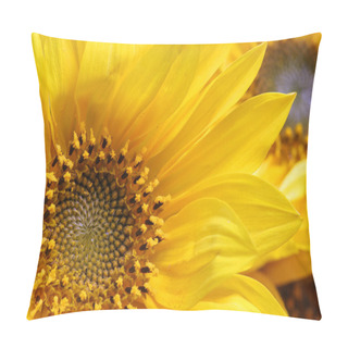 Personality  Sunflower Close Up View Pillow Covers