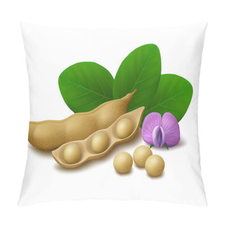 Personality  Soybeans Isolated On White Background Pillow Covers