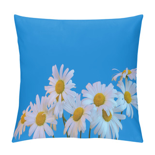 Personality  Chamomile Flowers On A Blue Background Pillow Covers