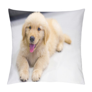 Personality  Portrait Of Golden Retriever Pillow Covers